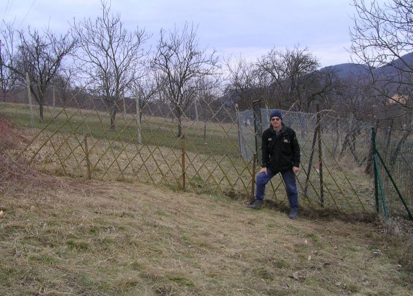 vŕbový plot