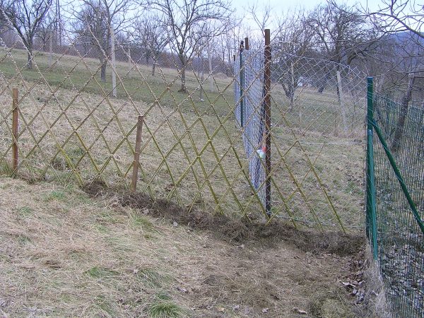 plot z vŕbových prútikov